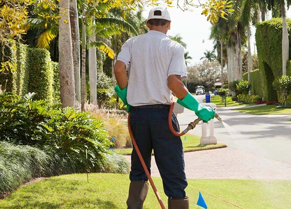 About Bishop TX Pest Control Pros